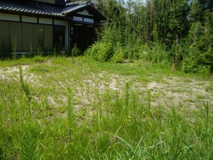 庭です