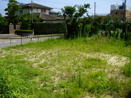 庭です