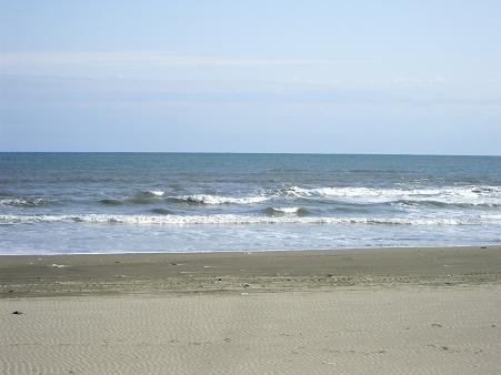 海です