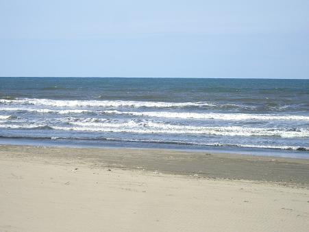 海です