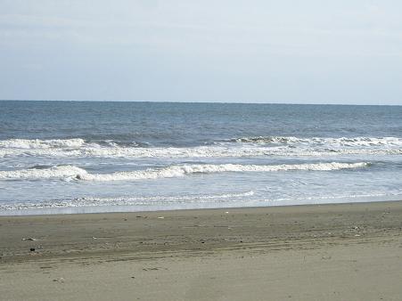 海です