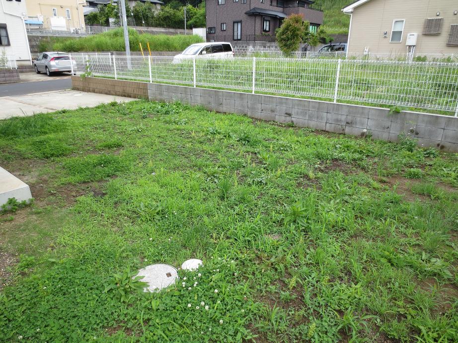 庭です