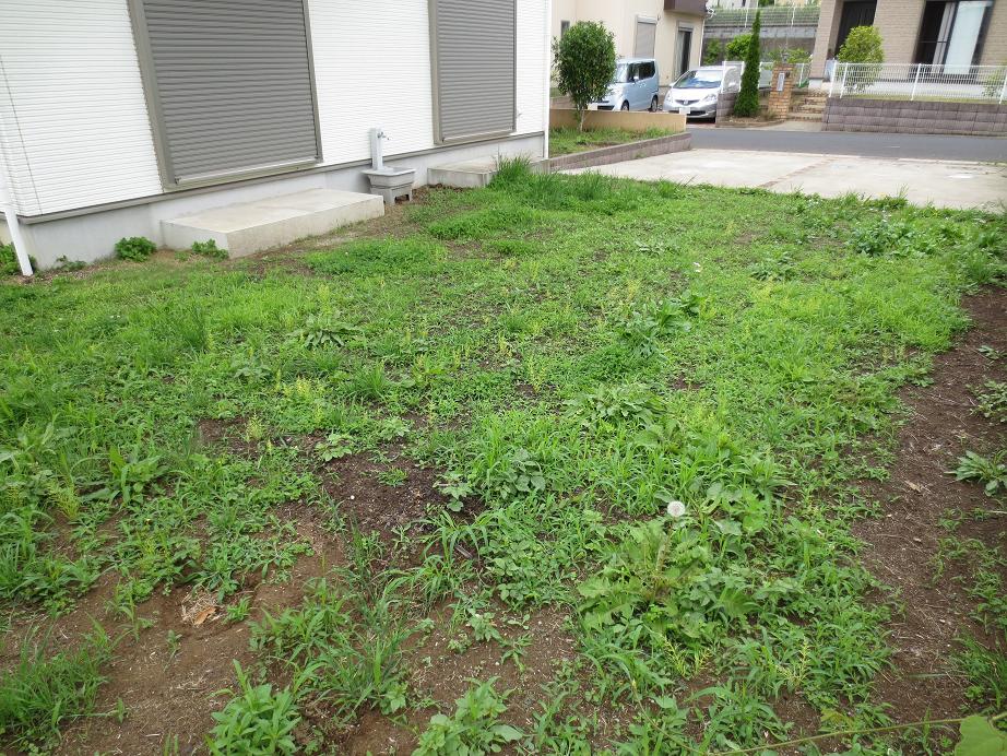 庭です