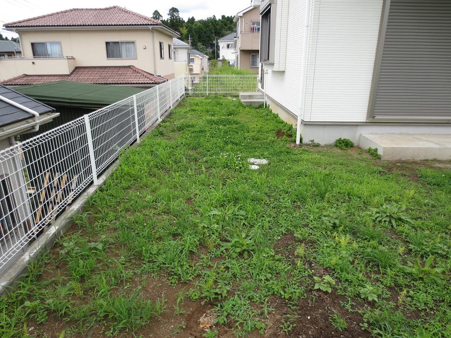 庭です