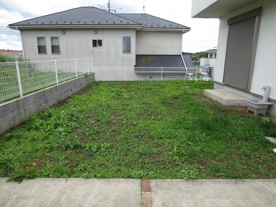 庭です