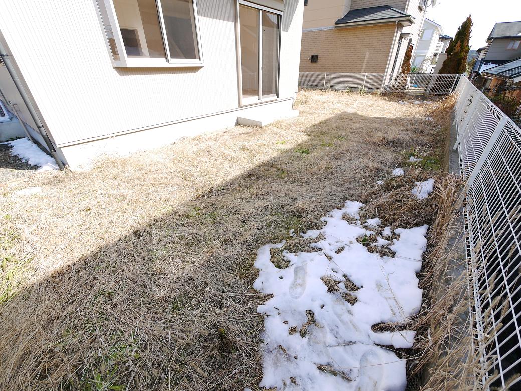 庭です