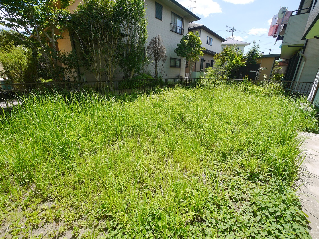 広い庭でパパと日曜大工。ママとガーデニング。