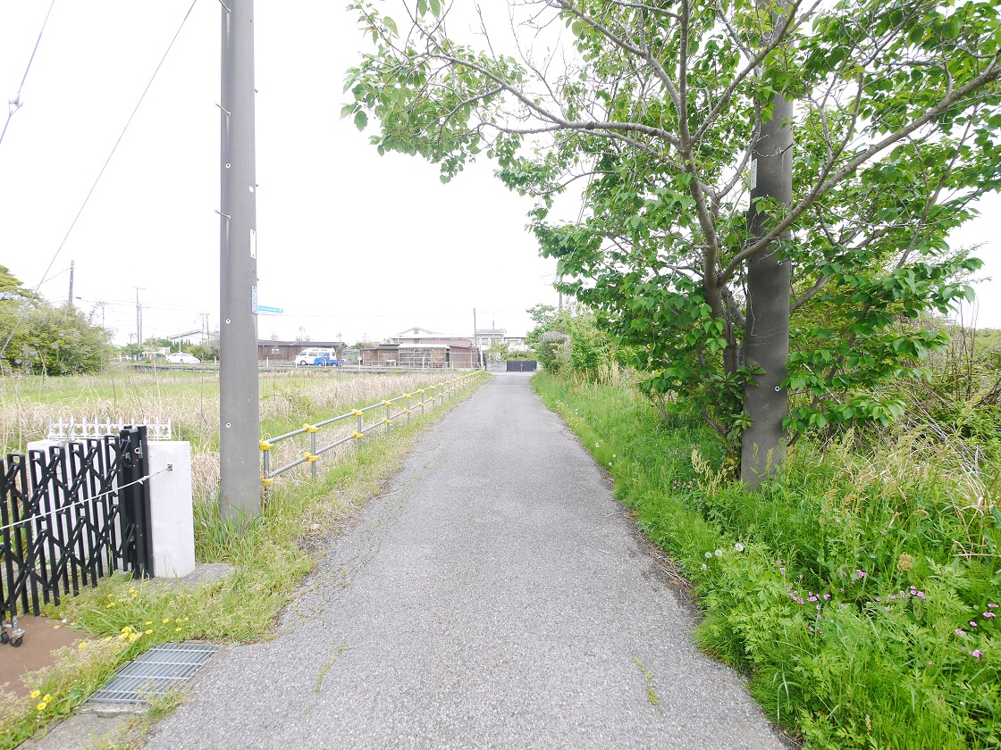 前面道路です(東側)